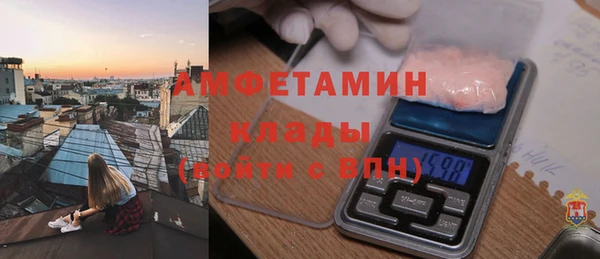 дмт Ельня