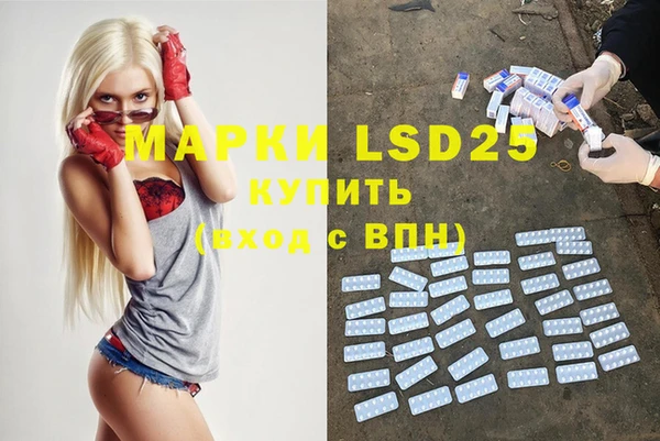 дмт Ельня