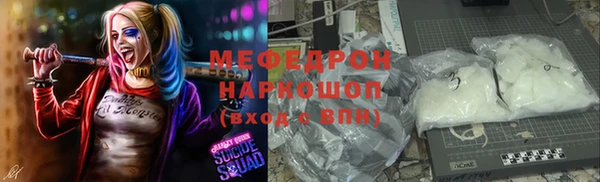 ГАЛЛЮЦИНОГЕННЫЕ ГРИБЫ Дмитриев