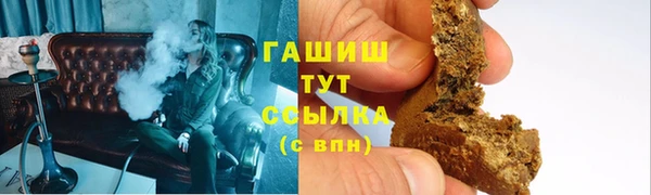 ГАЛЛЮЦИНОГЕННЫЕ ГРИБЫ Дмитриев