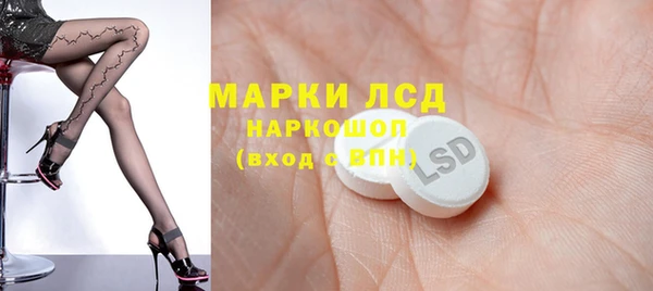 дмт Ельня