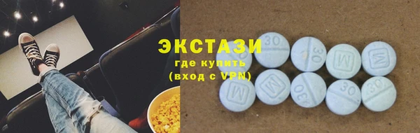 дмт Ельня