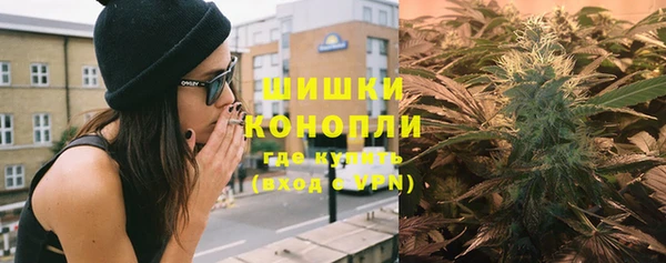 дмт Ельня