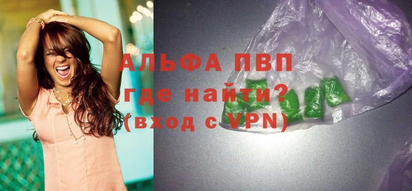 дмт Ельня