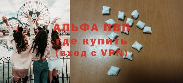 дмт Ельня