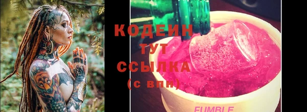 дмт Ельня