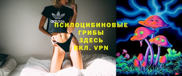 дмт Ельня