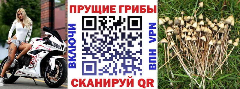 Псилоцибиновые грибы прущие грибы  Шиханы 